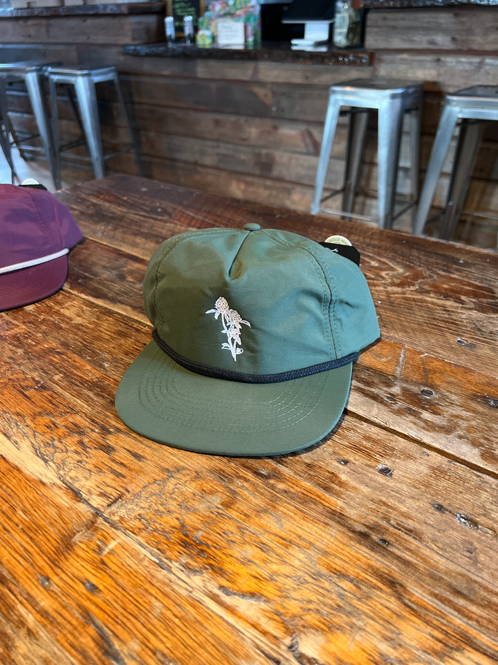 Clover Logo 5 panel